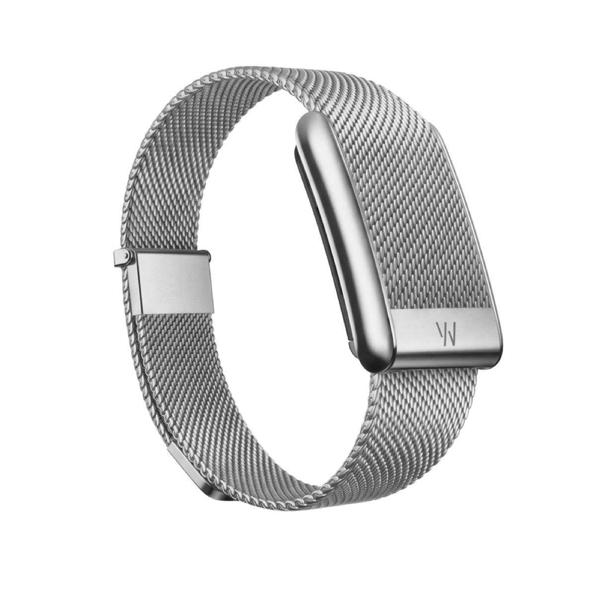 WHOOP wearable in Meridian Alloy (5.0/MG family)